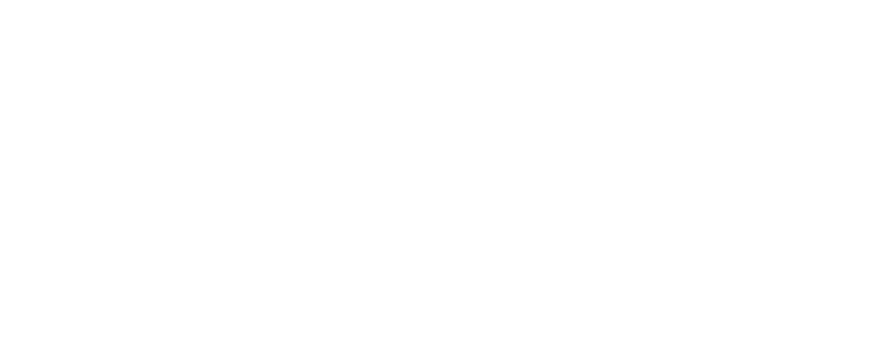VNUS Logo