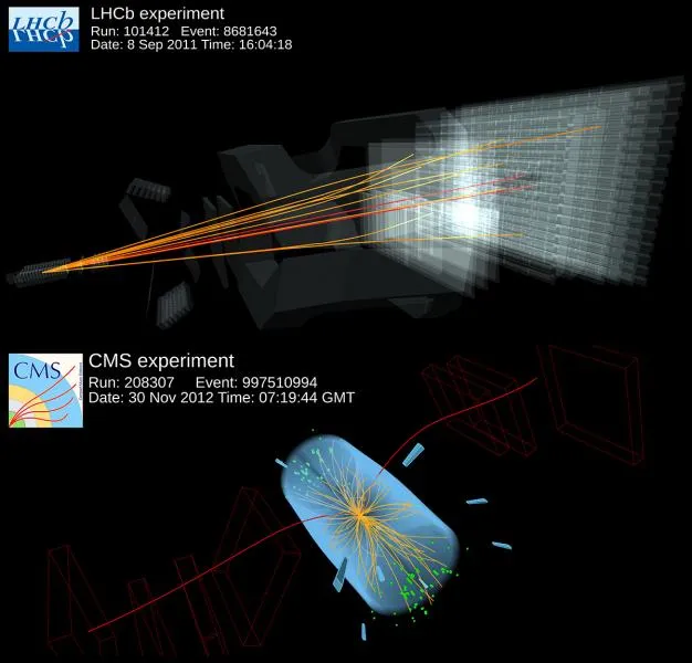 CMS & LHC b